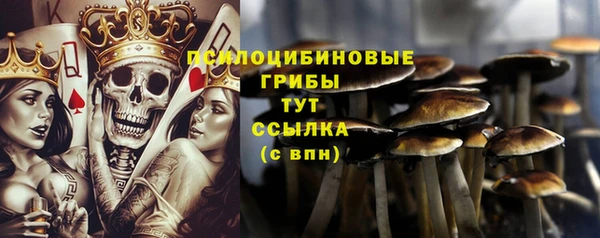 первитин Няндома