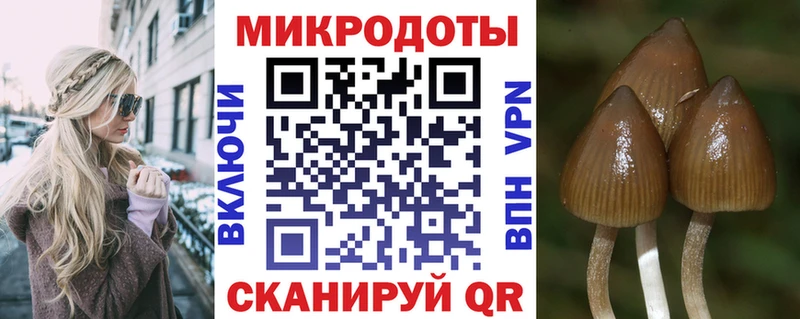 Псилоцибиновые грибы MAGIC MUSHROOMS Торжок